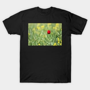 One Red Poppy T-Shirt